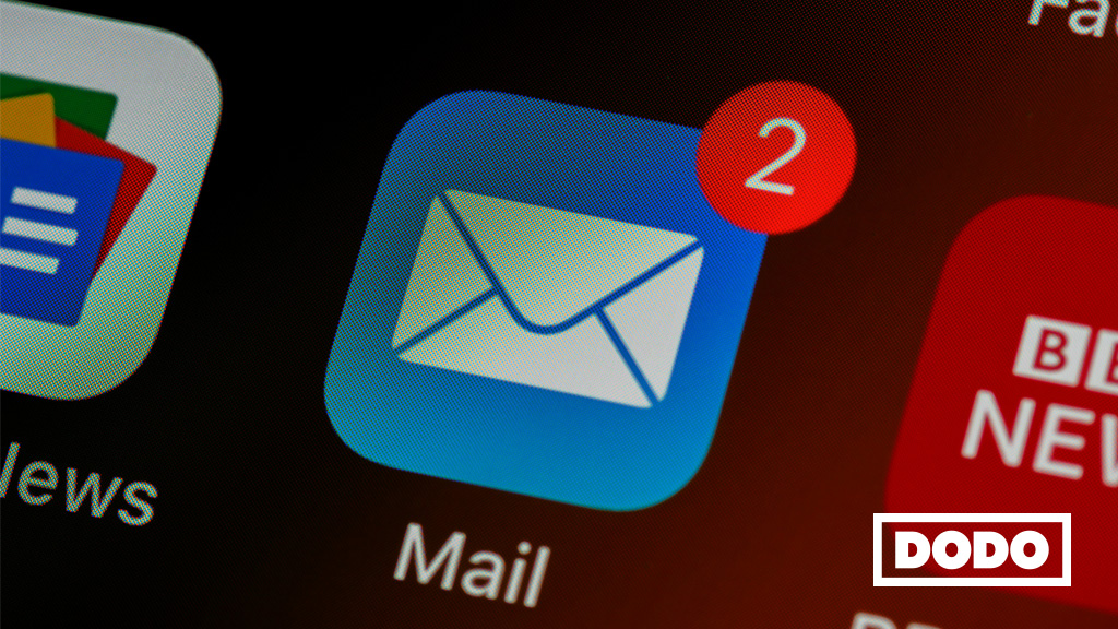 Las mejores herramientas de email marketing: guía completa para empresas